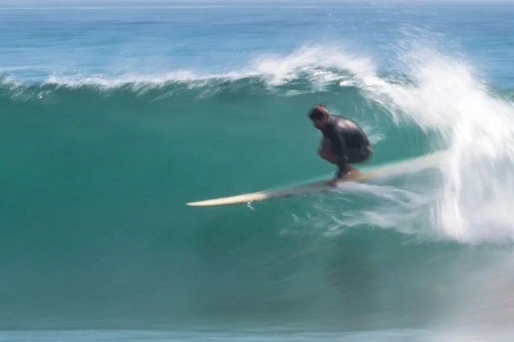 Single-Fins Freeman Street Shop