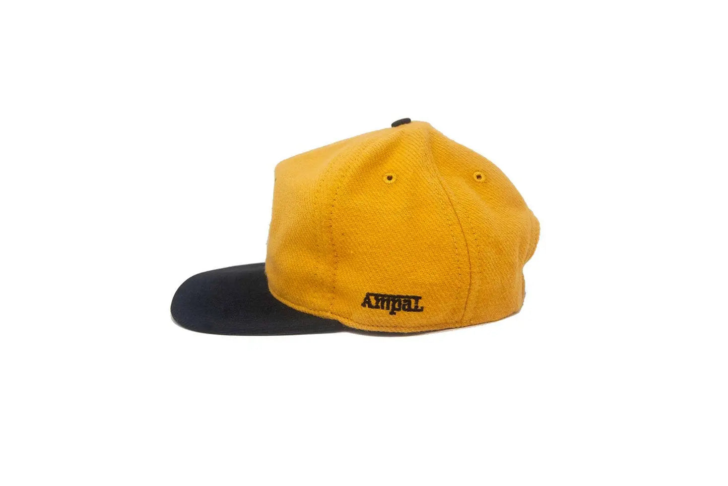 LIVE FAST Gold - Snapback The Ampal Creative