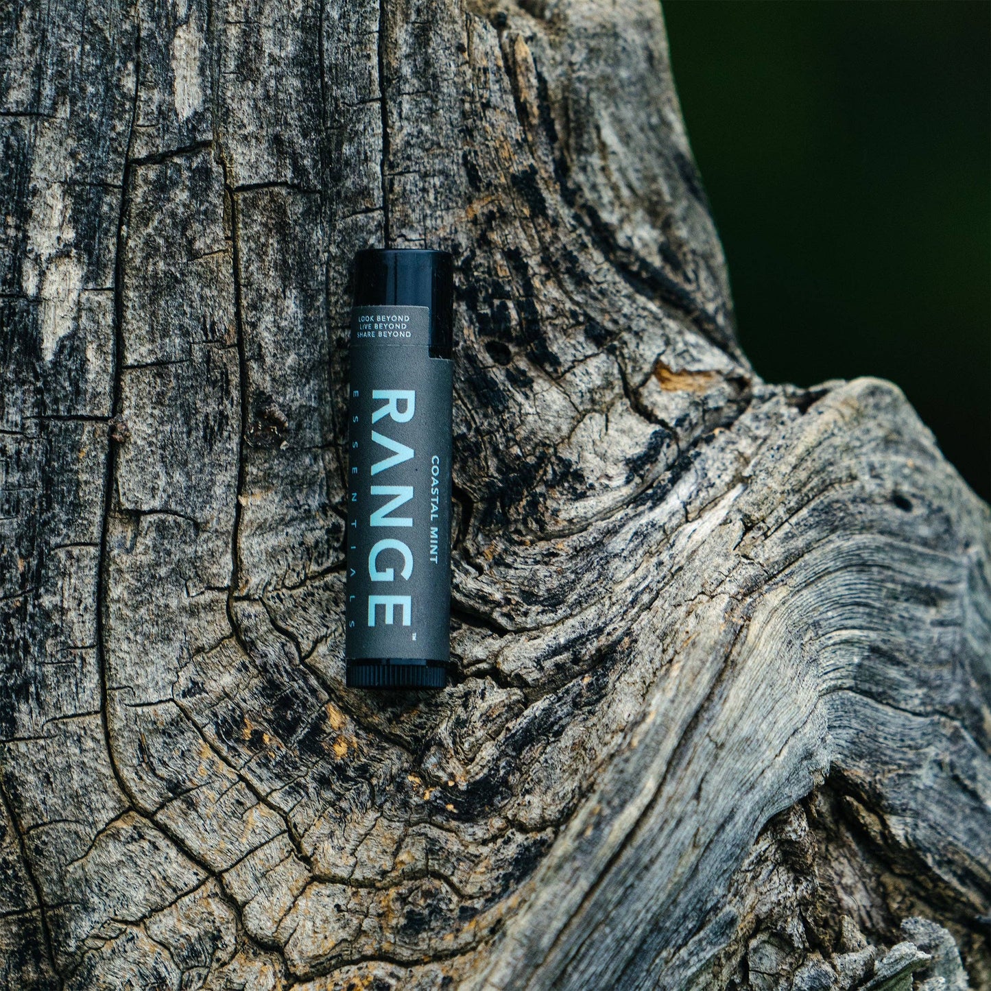 COASTAL MINT LIP BALM Range Essentials