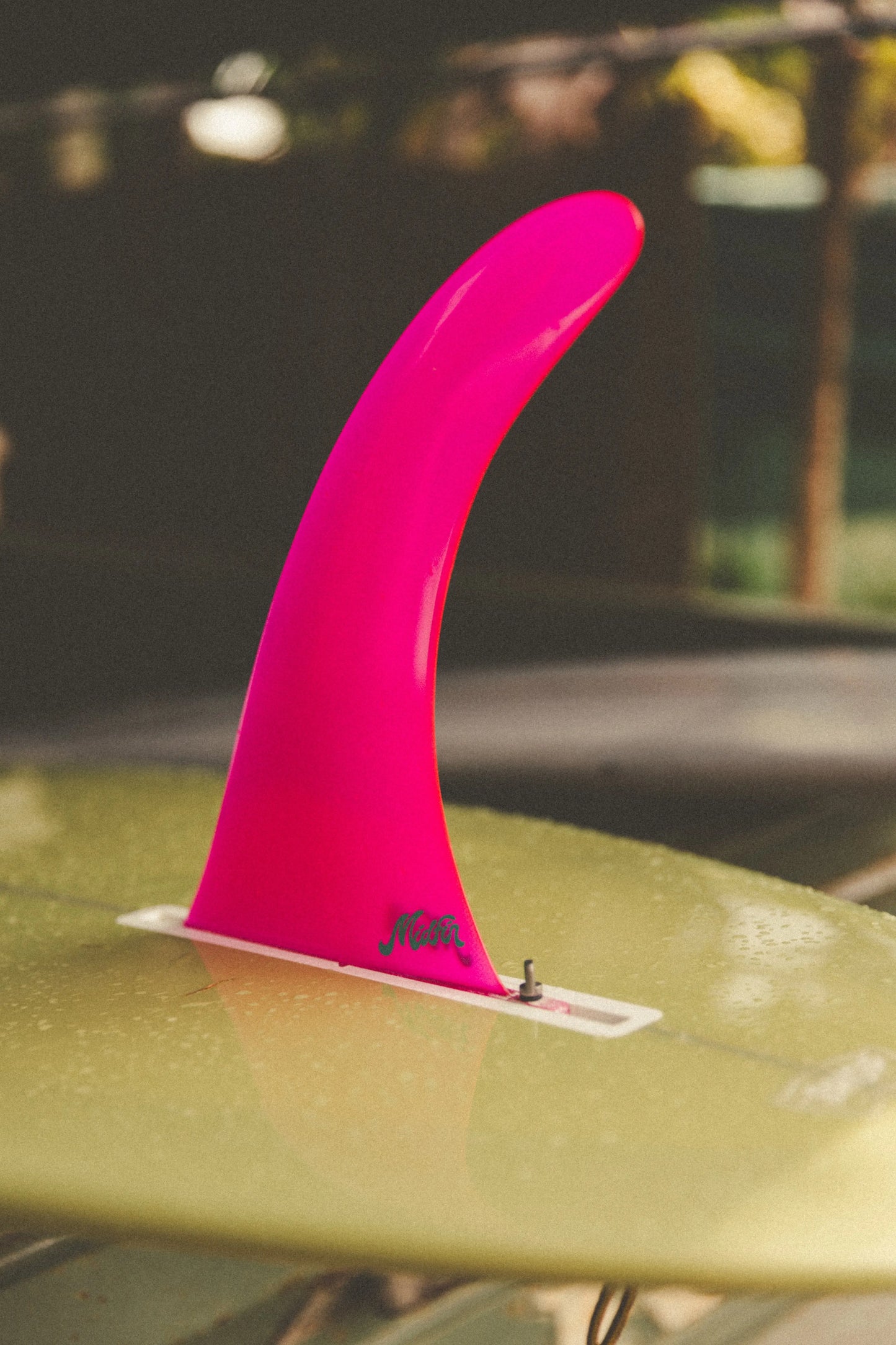 Pink Panther - Classic Mid Fin Co.