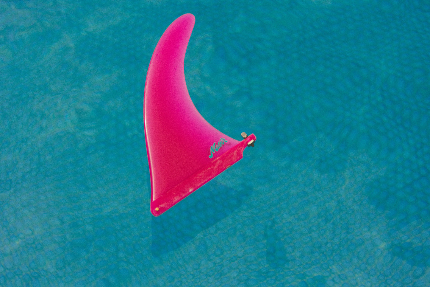 Pink Panther - Classic Mid Fin Co.