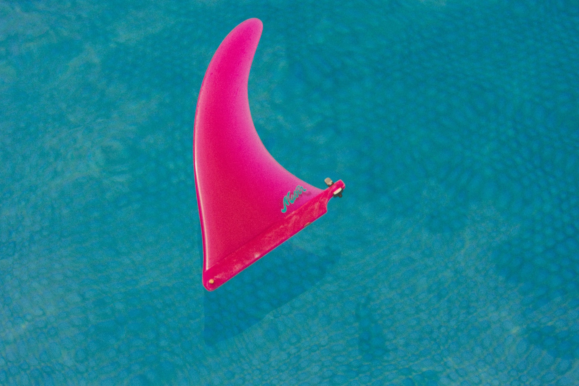 Pink Panther - Classic Mid Fin Co.