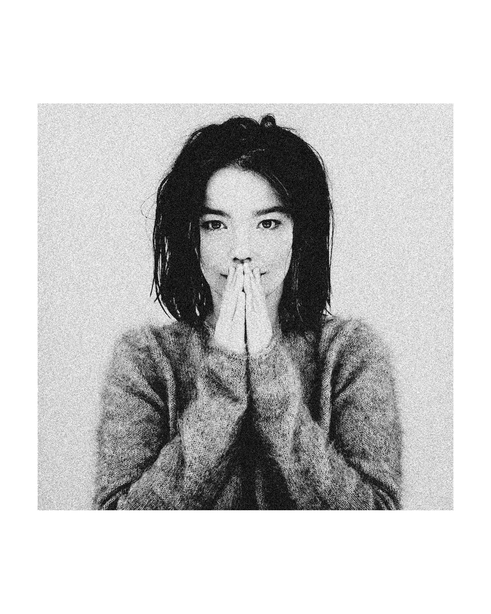 Bjork Debut Album 90s Alternative Music