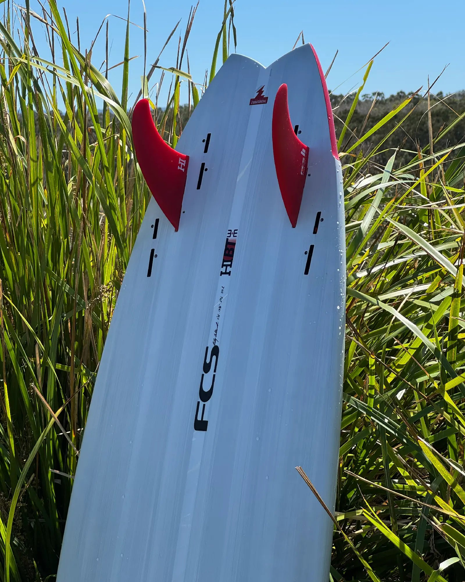 HIBT 3+3 Harley Ingleby