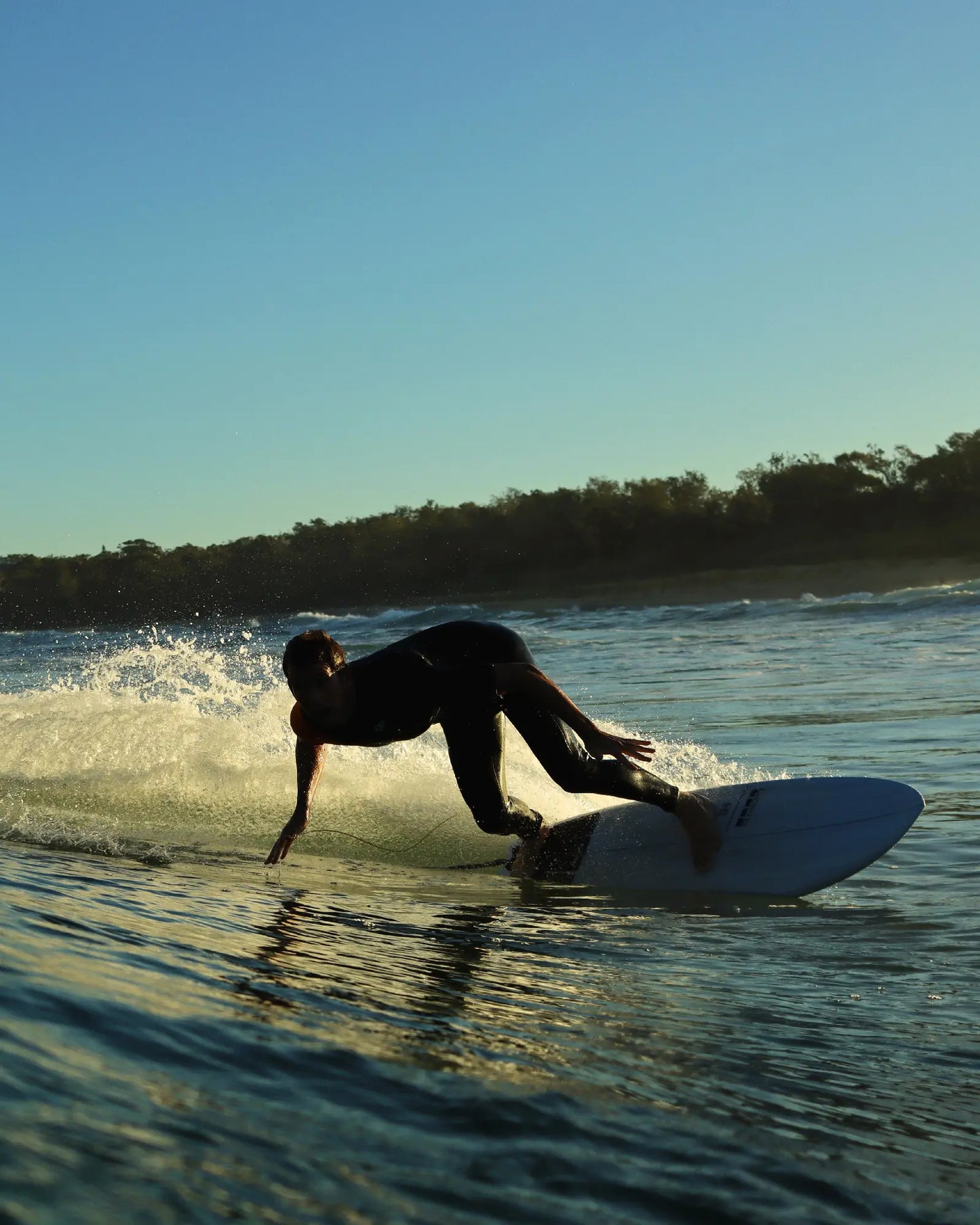 HIBT 3+3 Harley Ingleby